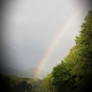 Meet your Posher, Nona